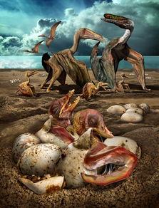 国产伊甸园,探寻东方梦幻乐园的奇幻之旅